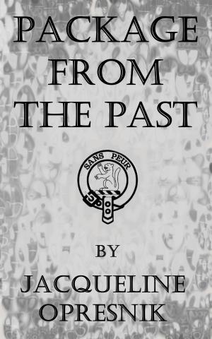 Cover of the book Package From The Past by Amanda Linehan