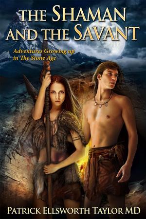 Book cover of The Shaman and the Savant