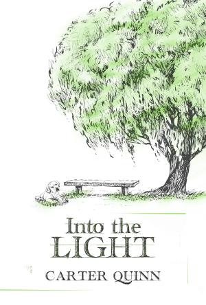 Cover of the book Into the Light by Eden Butler