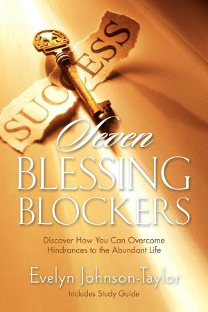 Cover of the book Seven Blessing Blockers by Federico Sulimovich