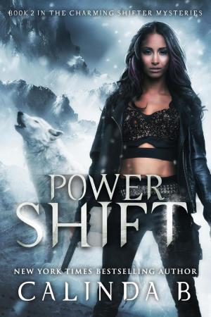 Cover of the book Power Shift by Trish Morey
