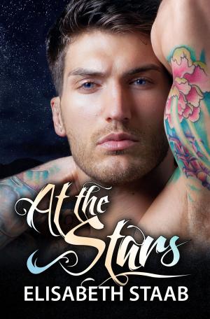 Book cover of At the Stars