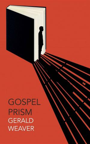 Book cover of Gospel Prism
