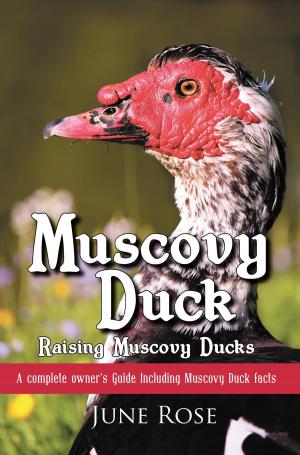 Cover of the book Muscovy Duck by Waliya Yohanna Joseph