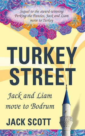 Cover of the book Turkey Street by Joanne Pasquale