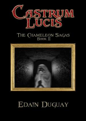 Cover of the book Castrum Lucis by Gwen Hullah