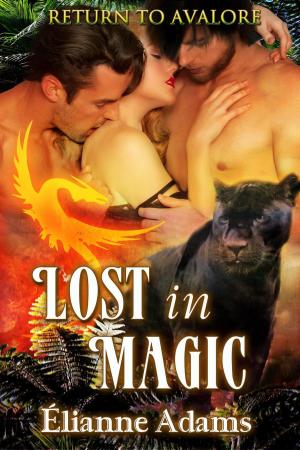 Cover of the book Lost in Magic by Lauryn Pants