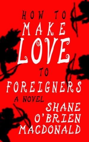 Cover of the book How To Make Love To Foreigners: A Novel by Paul Kane