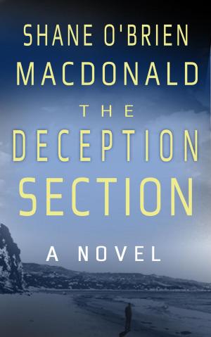 Book cover of The Deception Section: A Novel