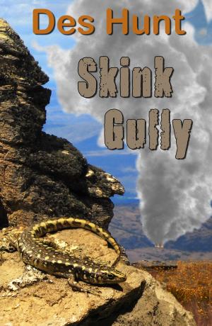 Book cover of Skink Gully