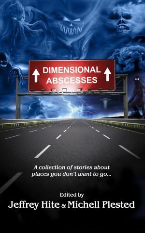 Cover of the book Dimensional Abscesses by Judy Alter