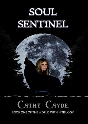 bigCover of the book Soul Sentinel by 