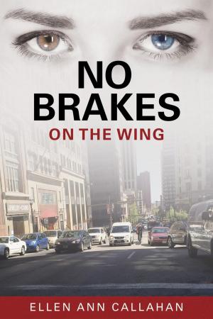 Cover of the book No Brakes: On the Wing by Marne Davis Kellogg