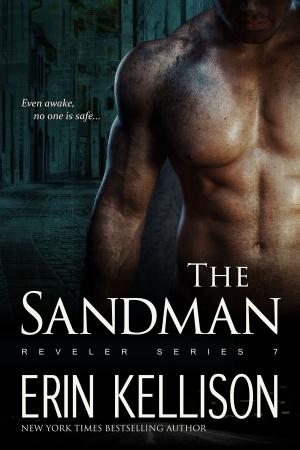 Cover of the book The Sandman by Robin Wyatt Dunn