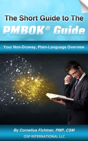 Book cover of The Short Guide to The PMBOK Guide