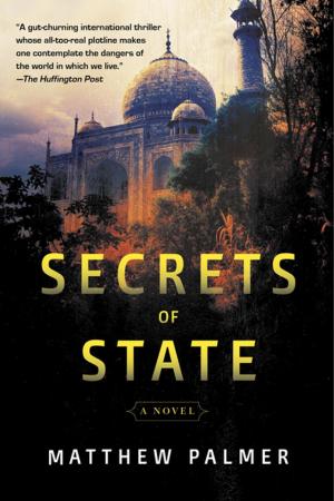 Cover of the book Secrets of State by Eliot Schrefer