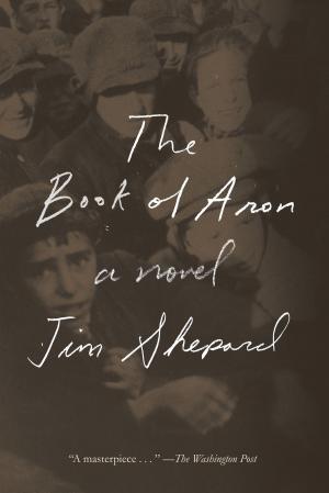 bigCover of the book The Book of Aron by 