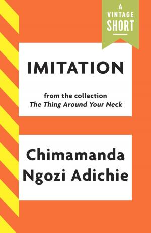 Cover of the book Imitation by Gerald Kithinji