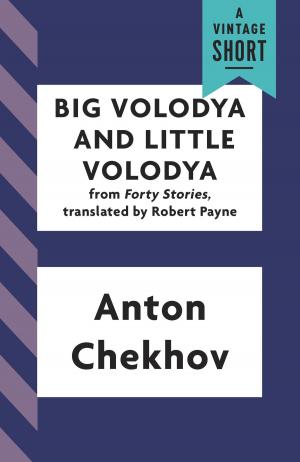Cover of the book Big Volodya and Little Volodya by Elie Wiesel