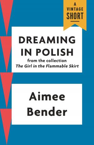 Cover of the book Dreaming in Polish by Walter D. Edmonds