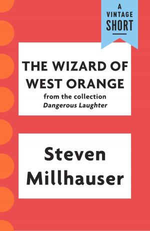 bigCover of the book The Wizard of West Orange by 