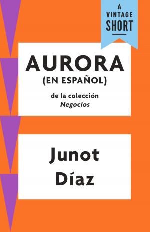 Cover of the book Aurora by Ben Dolnick