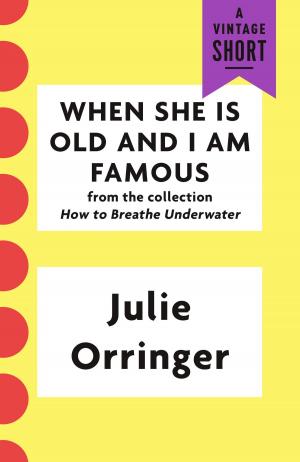 Cover of the book When She Is Old and I Am Famous by E. X. Ferrars