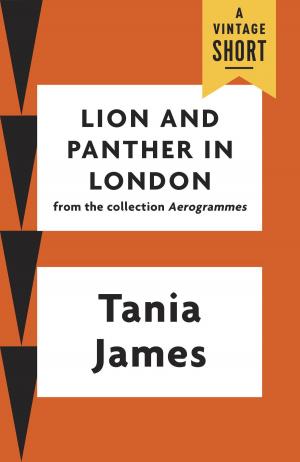 Cover of the book Lion and Panther in London by Nora Pouillon, Laura Fraser