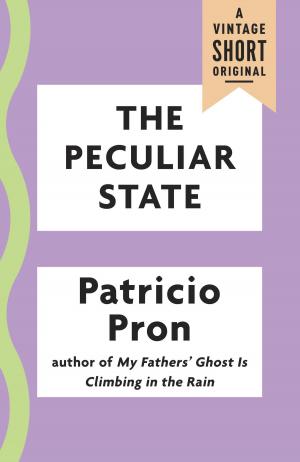 bigCover of the book The Peculiar State by 