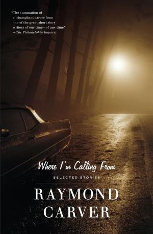 Cover of the book Where I'm Calling From by Penny Vincenzi