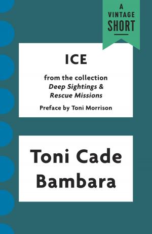 Cover of the book Ice by Carlin Romano