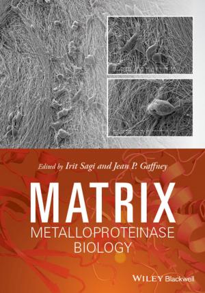 Cover of the book Matrix Metalloproteinase Biology by Amin Ghaziani