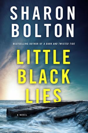 Cover of the book Little Black Lies by Keith Scott