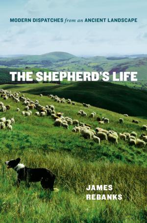 Cover of the book The Shepherd's Life by Dave Barry, Alan Zweibel, Adam Mansbach