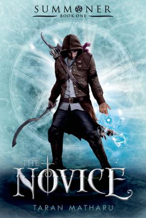 Cover of the book The Novice by Ellen Potter