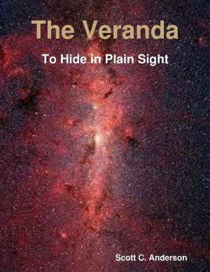 Cover of the book The Veranda - To Hide in Plain Sight by Doreen Milstead