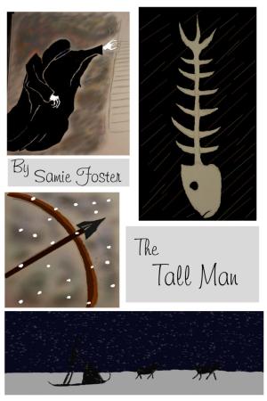 Cover of the book The Tall Man by Samie Foster