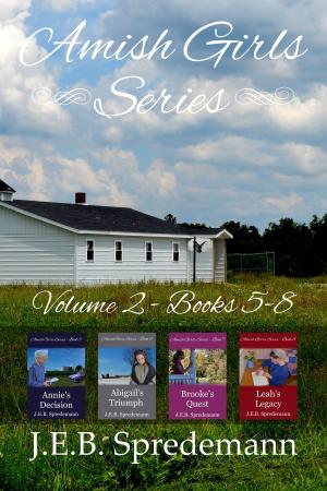 Cover of Amish Girls Series - Volume 2 (Boxed Set - Books 5-8)