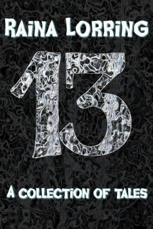 Cover of the book 13 by David Silvestre