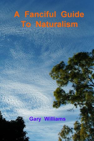 Cover of the book A Fanciful Guide to Naturalism by Gareth Roi Jones