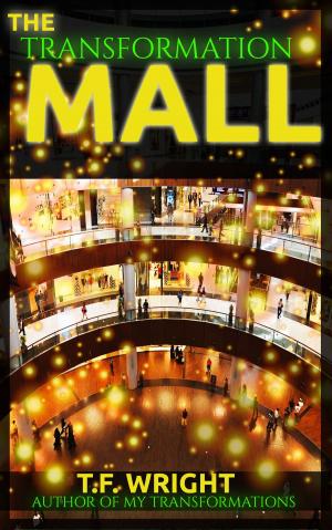 Cover of the book The Transformation Mall by Melanie Vance