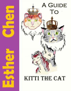 Book cover of A Guide To Kitti The Cat