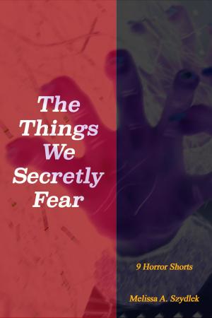 Book cover of The Things We Secretly Fear