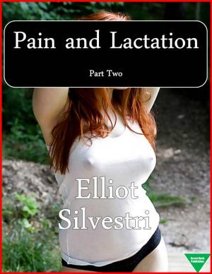 Cover of the book Pain and Lactation Part 2 by Elliot Silvestri