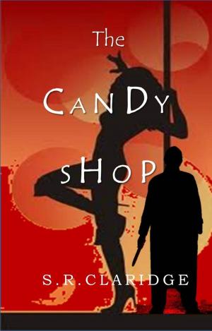 Cover of the book The Candy Shop by W. A. Vega