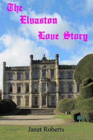 Book cover of The Elvaston Love Story