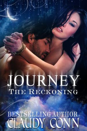 bigCover of the book Journey-The Reckoning by 