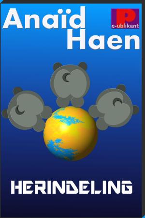 Cover of the book Herindeling by Anaïd Haen, Django Mathijsen