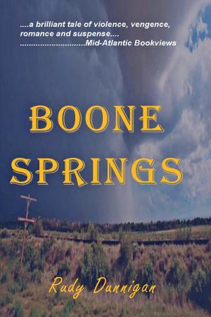 Cover of the book Boone Springs by Arjun Vivekananda