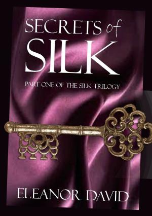 Cover of the book Secrets of Silk by Jean Brashear